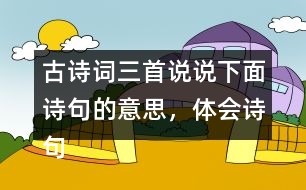 古詩詞三首說說下面詩句的意思，體會詩句表達(dá)的思想感情。