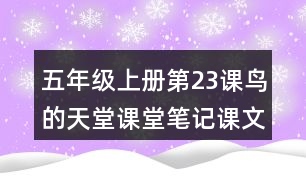 五年級上冊第23課鳥的天堂課堂筆記課文分段