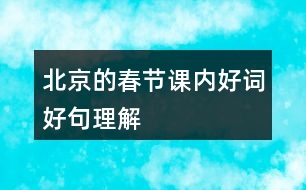 北京的春節(jié)課內好詞好句理解