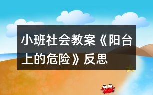 小班社會教案《陽臺上的危險》反思