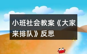 小班社會教案《大家來排隊》反思