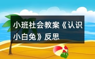 小班社會(huì)教案《認(rèn)識(shí)小白兔》反思