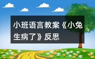 小班語言教案《小兔生病了》反思