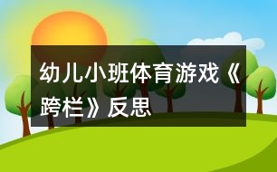 幼兒小班體育游戲《跨欄》反思