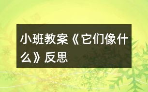 小班教案《它們像什么》反思