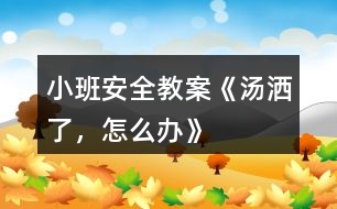 小班安全教案《湯灑了，怎么辦》