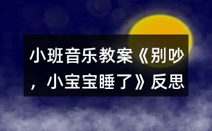 小班音樂教案《別吵，小寶寶睡了》反思