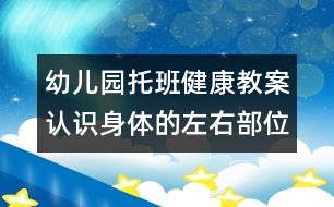 幼兒園托班健康教案：認識身體的左右部位(原創(chuàng))