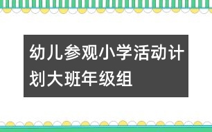 幼兒參觀小學(xué)活動(dòng)計(jì)劃——大班年級組