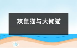 辣鼠貓與大懶貓