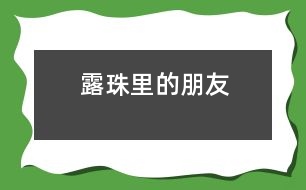 露珠里的朋友