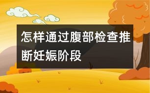 怎樣通過腹部檢查推斷妊娠階段