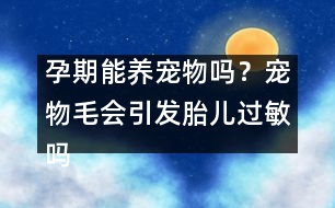 孕期能養(yǎng)寵物嗎？寵物毛會引發(fā)胎兒過敏嗎？