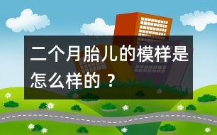 二個月胎兒的模樣是怎么樣的 ？