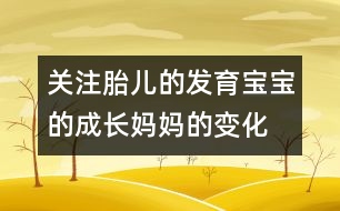 關(guān)注胎兒的發(fā)育：寶寶的成長(zhǎng)、媽媽的變化