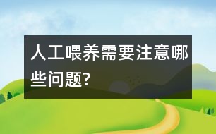 人工喂養(yǎng)需要注意哪些問題?