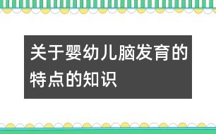 關(guān)于嬰幼兒腦發(fā)育的特點的知識