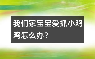 我們家寶寶愛抓小雞雞怎么辦？