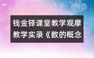 錢金鐸課堂教學(xué)觀摩教學(xué)實錄：《數(shù)的概念復(fù)習(xí)》