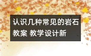 認(rèn)識幾種常見的巖石教案 教學(xué)設(shè)計(jì)—新教科版四年級下冊科學(xué)教案