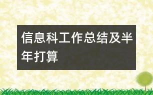 信息科工作總結(jié)及半年打算