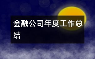 金融公司年度工作總結