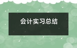 會計實習總結(jié)