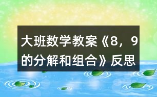 大班數(shù)學教案《8，9的分解和組合》反思