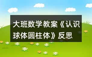 大班數(shù)學教案《認識球體、圓柱體》反思