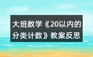 大班數學《20以內的分類計數》教案反思