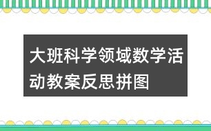 大班科學(xué)領(lǐng)域數(shù)學(xué)活動教案反思拼圖