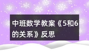 中班數(shù)學(xué)教案《5和6的關(guān)系》反思