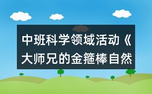 中班科學領(lǐng)域活動《大師兄的金箍棒自然測量》數(shù)學教案反思