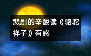 悲劇的辛酸——讀《駱駝祥子》有感