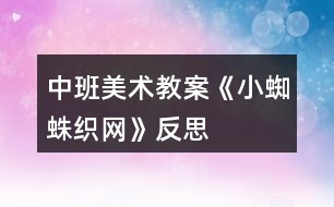 中班美術教案《小蜘蛛織網》反思