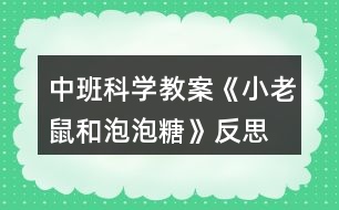 中班科學教案《小老鼠和泡泡糖》反思