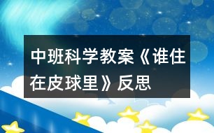 中班科學教案《誰住在皮球里》反思