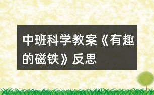 中班科學教案《有趣的磁鐵》反思