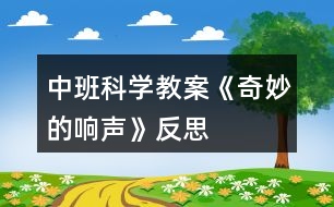 中班科學教案《奇妙的響聲》反思