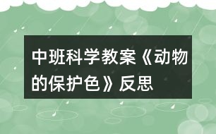 中班科學(xué)教案《動物的保護(hù)色》反思