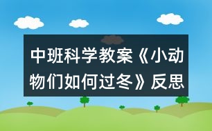 中班科學(xué)教案《小動物們?nèi)绾芜^冬》反思