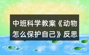 中班科學(xué)教案《動物怎么保護自己》反思