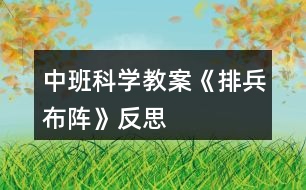 中班科學教案《排兵布陣》反思