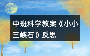 中班科學(xué)教案《小小三峽石》反思