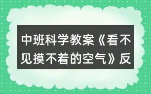 中班科學(xué)教案《看不見(jiàn)摸不著的空氣》反思