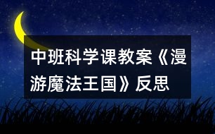 中班科學(xué)課教案《漫游魔法王國(guó)》反思