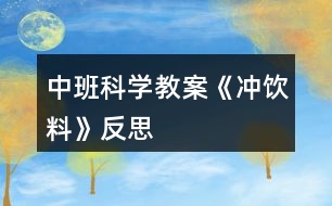 中班科學(xué)教案《沖飲料》反思