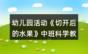 幼兒園活動(dòng)《切開后的水果》中班科學(xué)教案反思