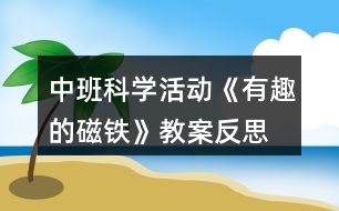 中班科學(xué)活動(dòng)《有趣的磁鐵》教案反思