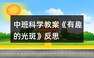 中班科學教案《有趣的光斑》反思